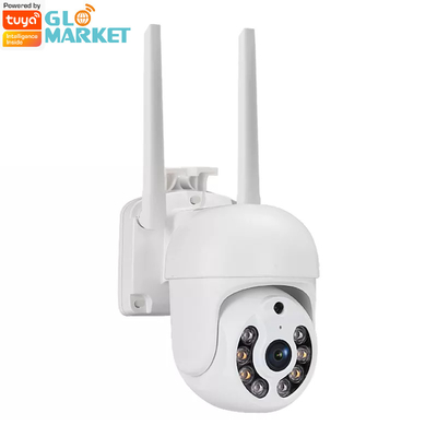 Caméra de sécurité imperméable intelligente de PIR Detection Full HD de vision nocturne de la caméra 1080P de Tuya Wifi
