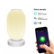 Glomarket Tuya Wifi Impression 3D Lanterne Intelligente Lumière 16 Millions de Couleurs Réglage Lumineux