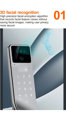 Fermeture de porte intelligente noire avec reconnaissance faciale et interphone