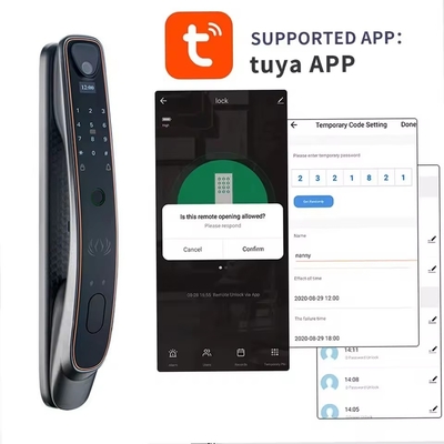 Tuya reconnaissance faciale verrouillage de porte intelligent Wifi / empreinte digitale zigbee / veine du doigt capture optionnelle de l'œil de chat