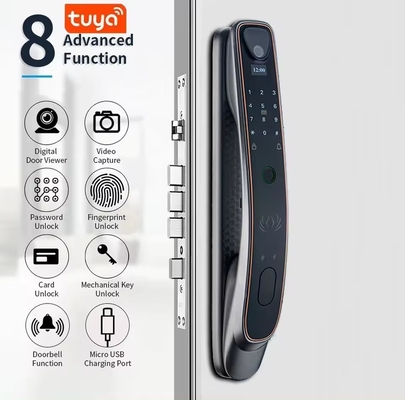 Tuya reconnaissance faciale verrouillage de porte intelligent Wifi / empreinte digitale zigbee / veine du doigt capture optionnelle de l'œil de chat
