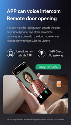 Glomarket Tuya Wifi Smart Lock Fermeture en aluminium porte en bois Reconnaissance faciale d'empreintes de paumes Biométrique empreinte digitale de doigts Fermeture intelligente