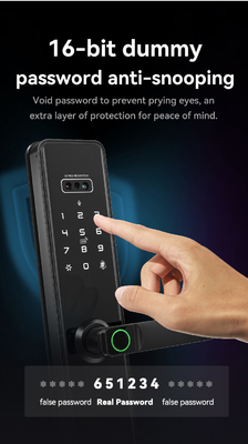 Glomarket Tuya Wifi Smart Lock Fermeture en aluminium porte en bois Reconnaissance faciale d'empreintes de paumes Biométrique empreinte digitale de doigts Fermeture intelligente