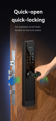Glomarket Tuya Wifi Smart Lock Fermeture en aluminium porte en bois Reconnaissance faciale d'empreintes de paumes Biométrique empreinte digitale de doigts Fermeture intelligente
