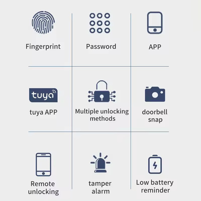 Glomarket Wifi Biométrique électronique Tuya App Remote Smart Lock Smart Empreinte digitale Fermeture de porte avec œil de chat