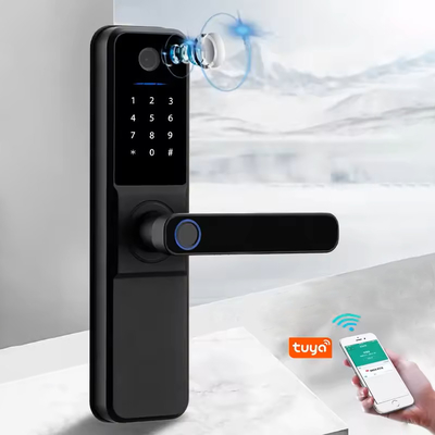 Glomarket Wifi Biométrique électronique Tuya App Remote Smart Lock Smart Empreinte digitale Fermeture de porte avec œil de chat