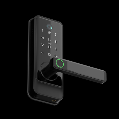 Glomarket Tuya Wifi verrouillage sans clé Serraduras Serrure électrique à poignée Verrouillage de porte avec clavier Verrouillage numérique par empreinte digitale