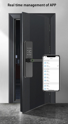 Glomarket Tuya Fermeture de porte intelligente Chambre à coucher Maison Digital Biométrique empreinte digitale Poignée intelligente Serrures électroniques