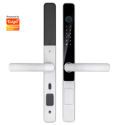 Glomarket Smart Tuya Fermeture de porte étanche Fermeture coulissante Porte d'empreinte digitale Mot de passe Manche de télécommande Fermeture électronique intelligente