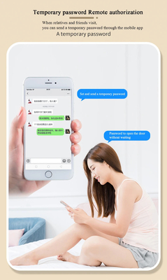 Glomarket Smart Tuya Fermeture de porte étanche Fermeture coulissante Porte d'empreinte digitale Mot de passe Manche de télécommande Fermeture électronique intelligente