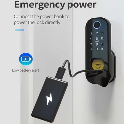 Glomarket Smart Home étanche à l'eau Smart Electric Rim Lock avec Tuya APP Control WIFI Porte de porte extérieure Smart Lock empreinte digitale