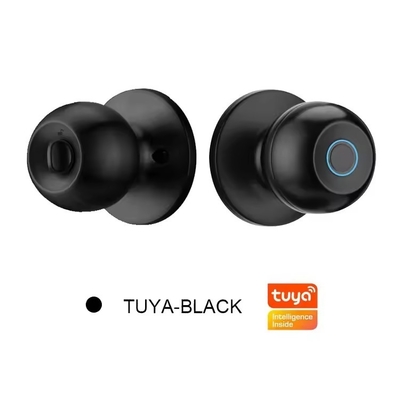 Glomarket en gros Fermeture à bouton à bille ronde intelligente sans clé Smart Door Handle Lock Tuya App Control Fermeture à porte à empreinte digitale intelligente