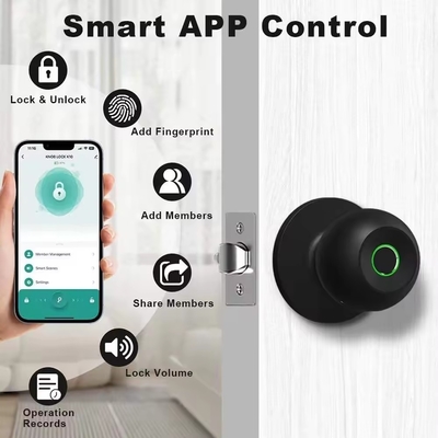 Glomarket en gros Fermeture à bouton à bille ronde intelligente sans clé Smart Door Handle Lock Tuya App Control Fermeture à porte à empreinte digitale intelligente