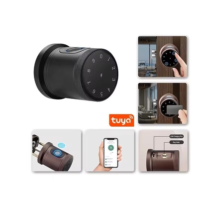Glomarket Nouveau style Tuya App Control Fermeture à clef Smart Porte empreinte digitale Mot de passe Maison Hôtel Appartement Fermeture électronique Smart Door Knob