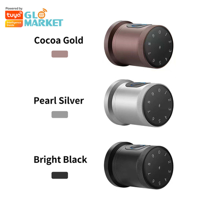 Glomarket Nouveau style Tuya App Control Fermeture à clef Smart Porte empreinte digitale Mot de passe Maison Hôtel Appartement Fermeture électronique Smart Door Knob
