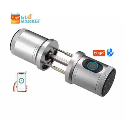 Glomarket Nouveau style Tuya App Control Fermeture à clef Smart Porte empreinte digitale Mot de passe Maison Hôtel Appartement Fermeture électronique Smart Door Knob