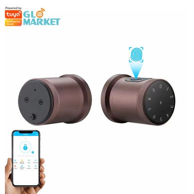 Glomarket Nouveau style Tuya App Control Fermeture à clef Smart Porte empreinte digitale Mot de passe Maison Hôtel Appartement Fermeture électronique Smart Door Knob
