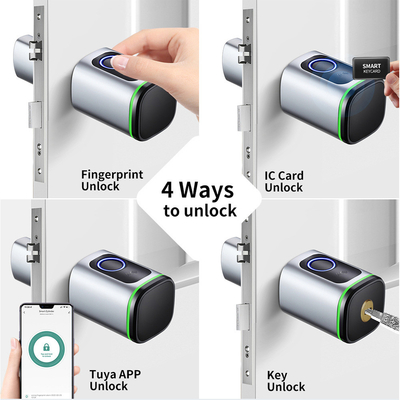 Glomarket Home Smart Door Lock Ttlock Smart Impression digitale carte clé déverrouillage cylindre réglable Euro Smart Lock Tuya App Fermeture de porte